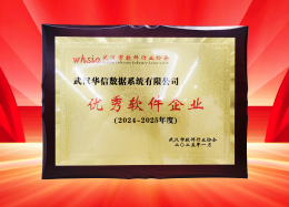 喜讯丨DB真人旗舰 DB数据获评2024~2025年度武汉市软件行业&ldquo;优秀企业&rdquo;、&ldquo;优秀工作者&rdquo;荣誉称号！